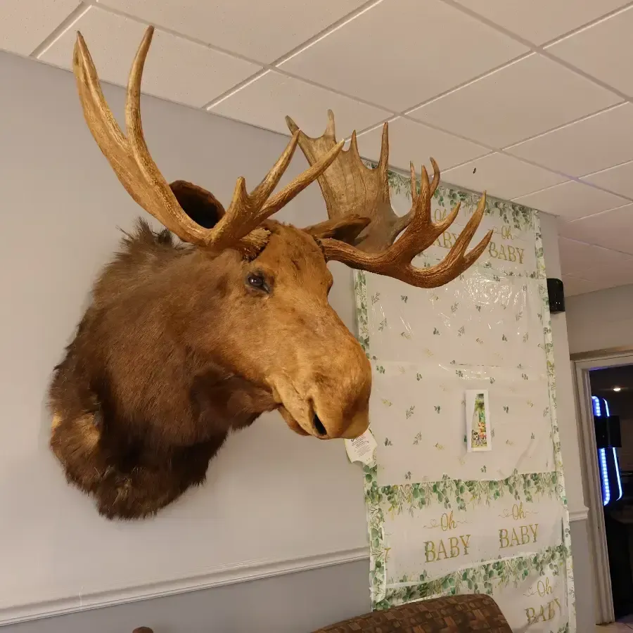 Events at Moose Lodge 42